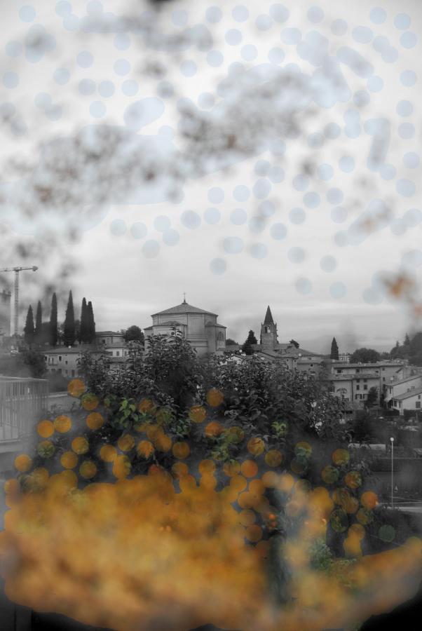 Homelyfeeling Castelnuovo del Garda Dış mekan fotoğraf